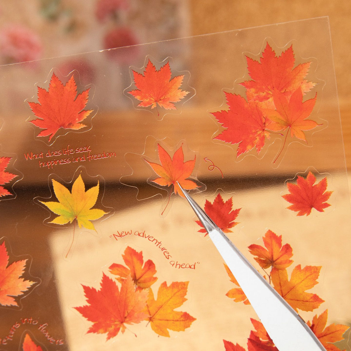 Flower Sticker Book Specimen Flower Sticker Book 30Pcs