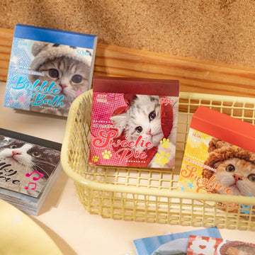 Snoring Log Series Note Card Sheets