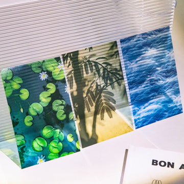 Summer Vibe Series Landscaping material paper