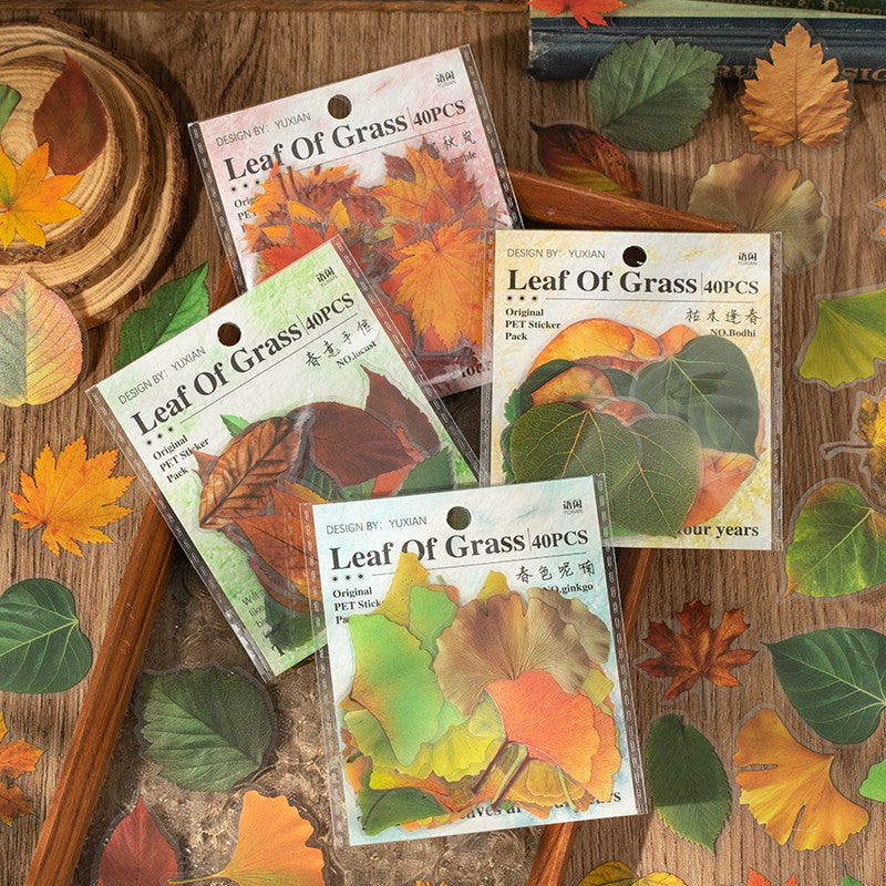 Autumn Folds Series – PET Leaf Sticker Pack