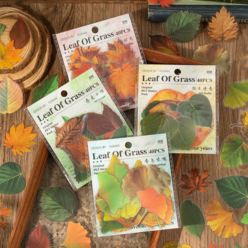 Autumn Folds Series – PET Leaf Sticker Pack