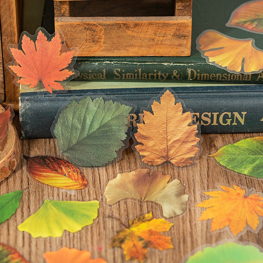 Autumn Folds Series – PET Leaf Sticker Pack