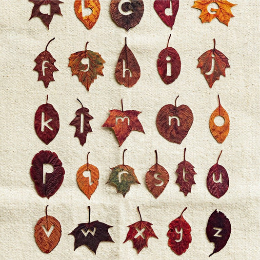 Forest Alphabet Atlas Series PET Stickers Box