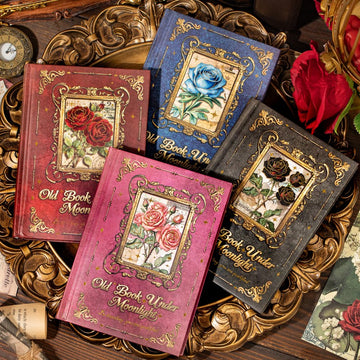 Moonset Old Books Series  Writeable Diary Book