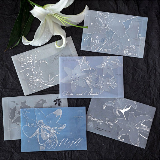 Lily Letter Series Material Sheet