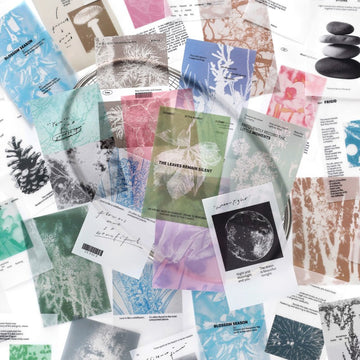 Fuzhou Island Four Seasons Series Sulfate Paper