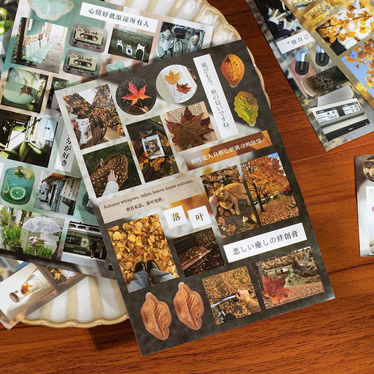 Limited Moments Sticker Book